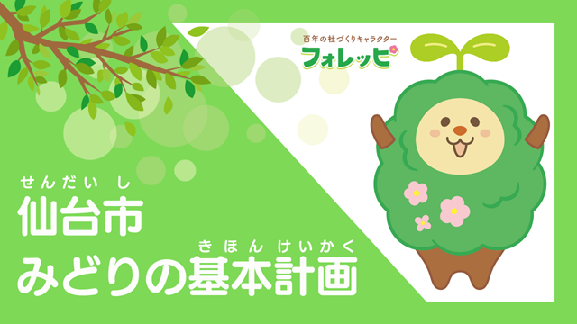 百杜みどり